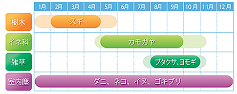 allergy_bn03