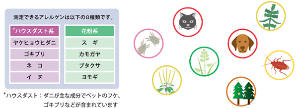 allergy_bn05